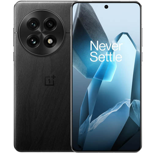OnePlus 13