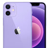 Apple iPhone 12 Purple in Dubai, UAE